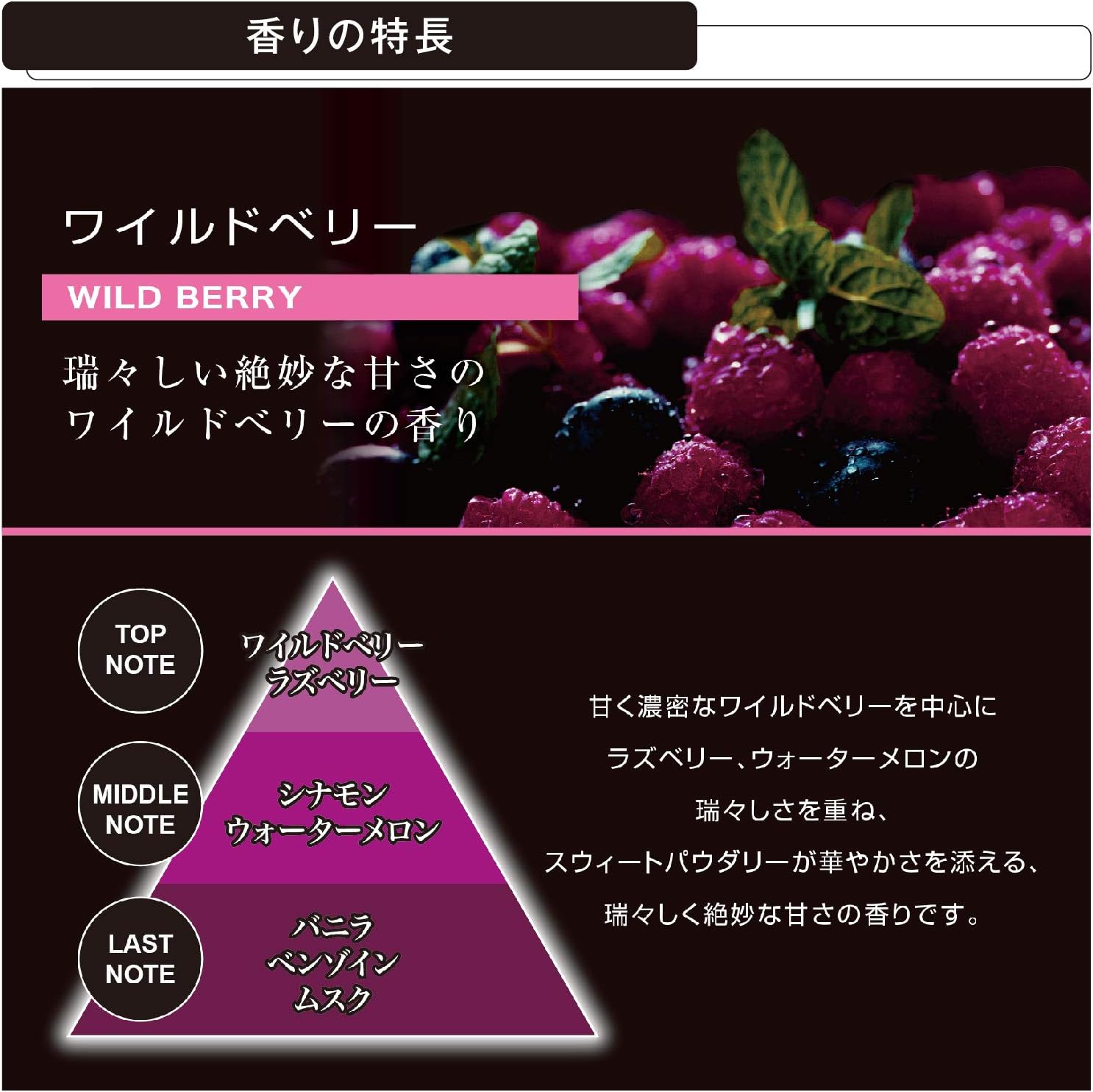Carmate Vehicles For Deodorant Burangu Solid Standing Refill Wild Berry Aroma Of Berry Black 60g G25 Amazon Co Uk Car Motorbike