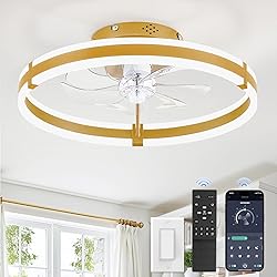 ZMISHIBO Ceiling Fans with Lights and