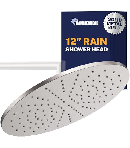 ^- ·̫ •^ฅ hansgrohe Raindance E 12-inch Showerhead -Spray in Brushed Nickel