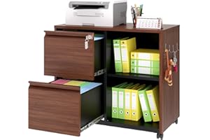 BYNSOE 2-Drawer File Cabinet Mobile Filing Cabinet with Lock Lateral File Cabinet Printer Stand with Open Storage Shelves for Home Office (Brown, Left Drawer)
