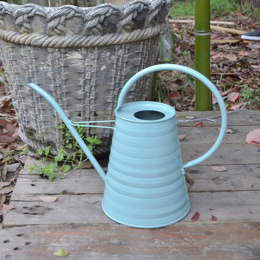 HORTICAN Galvanized Watering Can Modern Style Watering Pot with Handle for Outdoor and Indoor House Plants (0.6 gal/Light Blue) : Garden & Outdoor