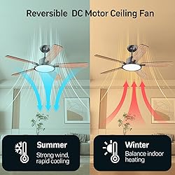 TALOYA 52 Inch Black Ceiling Fans with Lights Led