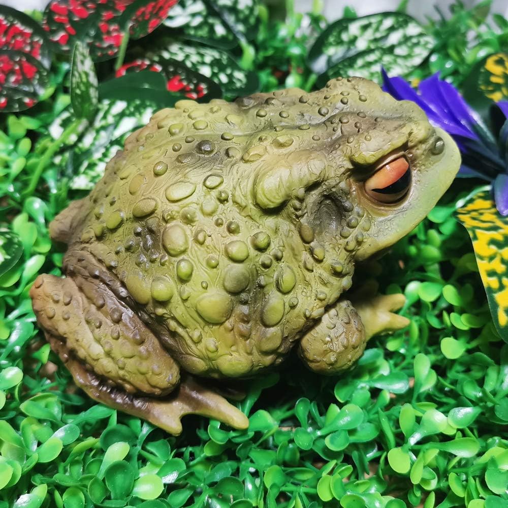 Muse Design Frog Toad Sculptures Garden Statues Yard Art Resin Decorations Outdoor Garden Décor : Garden & Outdoor