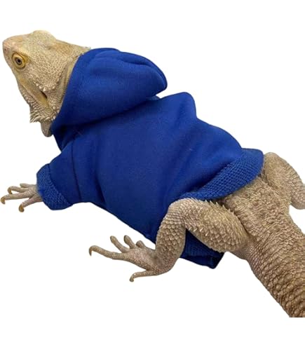 CAIRIAC Lizard Crown Necklace Set Cool Sunglasses Costumes