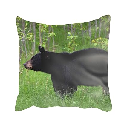 Amazon Com Ranhkdn Black Bear Cushion Covers Square Decorative