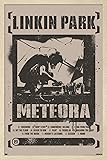 Trends International Linkin Park - Meteora Wall