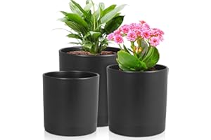 Meowell 6/5/4 inch Flower Pots, Set of 3 Cylinder Plant Pots for Small Indoor Outdoor Plants, Plastic Planters with Drainage Holes and Saucers for Garden Succulent Nursery House Plants, Black