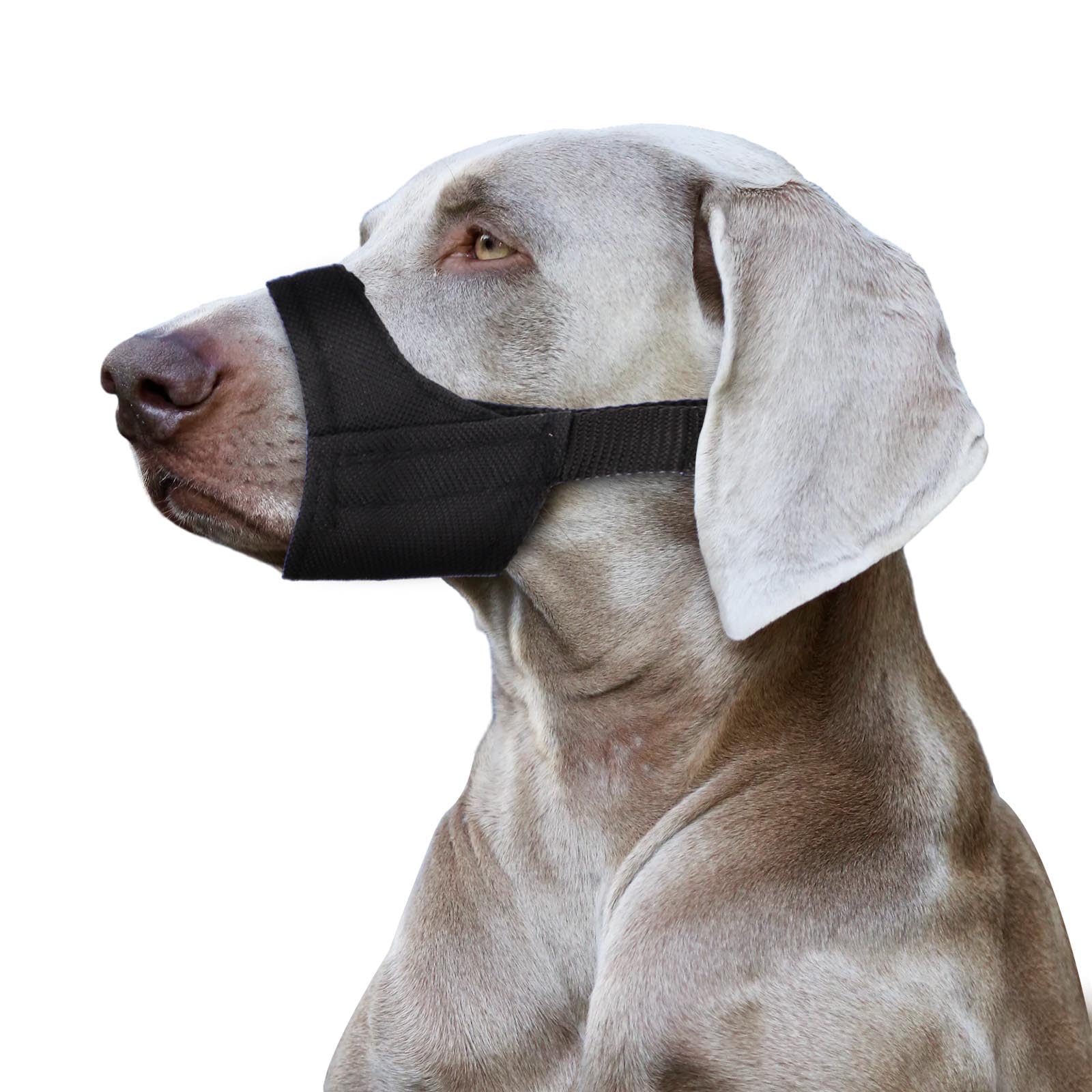 PEUTIER Short Snout Dog Muzzle, Adjustable Dog Mouth Guard, Soft Pet Safe Dog Muzzle Anti Biting Barking, Muzzle for Dogs Snout Circumference 7-8.25"