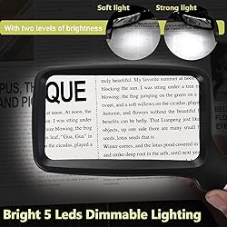 Magnifying Glass with Light, Folding Handheld 3X