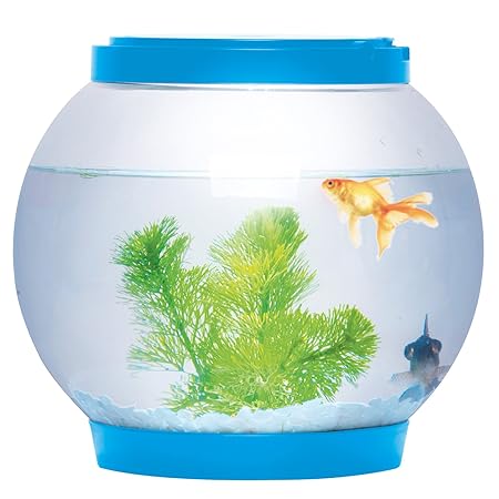 Sentik, Schreibtisch-Aquarium aus Glas, rund, mit LED-Beleuchtung, 5 Liter, blau