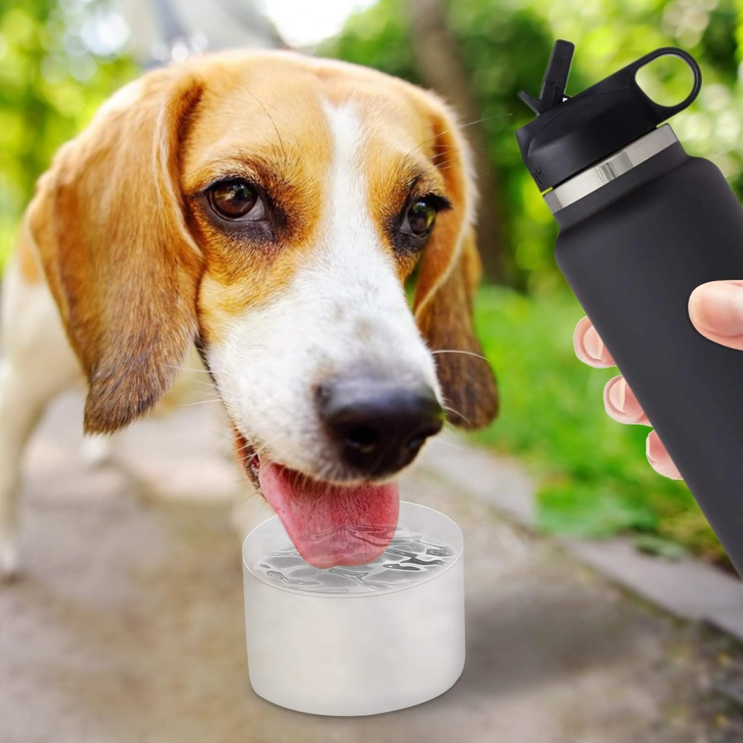 Protective Silicone Boot Sleeve for Hydro Flask 12oz-40oz Water Bottles Accessories Anti-Slip Bottom Sleeve Cover Pet Feeding Bowl for Puppy Cat : Sports & Outdoors