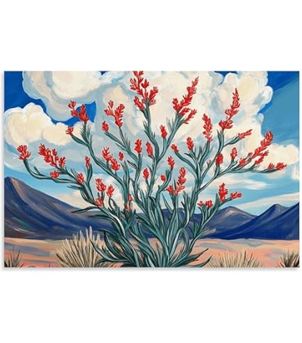 Amazon.com: Ocotillo Big Bend National Park Print West Texas