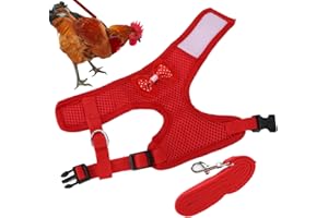Adjustable Chicken Harness with Leash, Comfortable Breathable Hen Pet Vest for Hens Roosters Duck Goose (M)