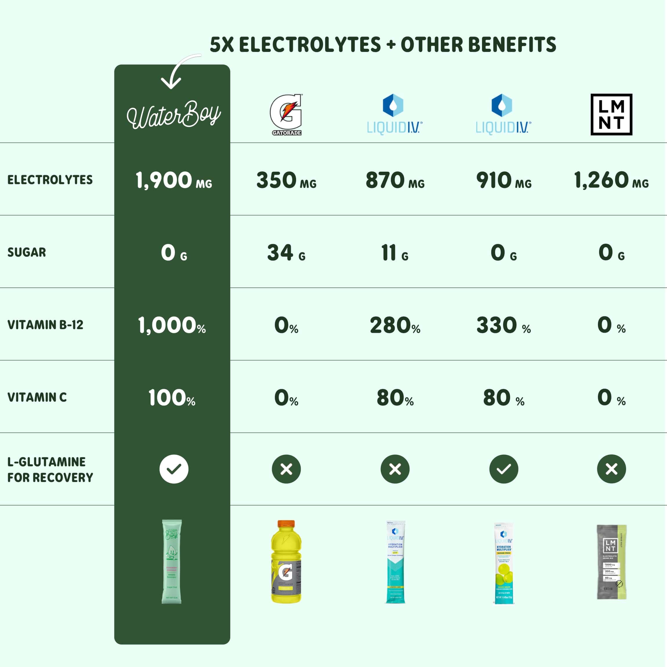 Waterboy Workout Hydration | 2,960mg Sugar Free Electrolyte Powder Packets | L-Glutamine + Vitamins | No Sugar, All Natural, Gluten Free (Variety)