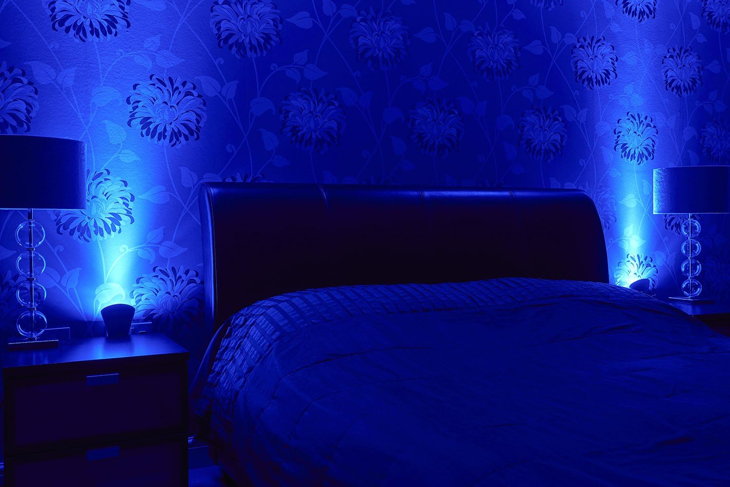 blue light bulb for room