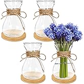 4 Pcs Glass Bulb Vases, Clear Forcing Hydroponic Planters for Hyacinths, Slim Waist Design, Bohemian Style Home Decor with Rope, Wooden Coasters
