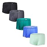 JINSHI Ice Silk Mens Sexy Underwear For Play