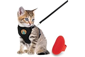 AWOOF Cat Harness and Leash Escape Proof, Adjustable Cat Leash and Hareness Set for Cats Walking and Small Dogs, Durable Cat Vest with Reflective Strap Comfort Fit for Indoor and Outdoor Use