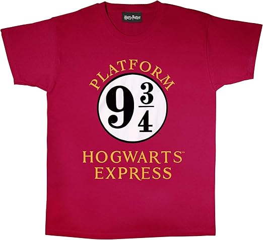 Harry Potter Hogwarts Express Men's T-Shirt | Official Merchandise | S-XXL, Wizarding World Crew 