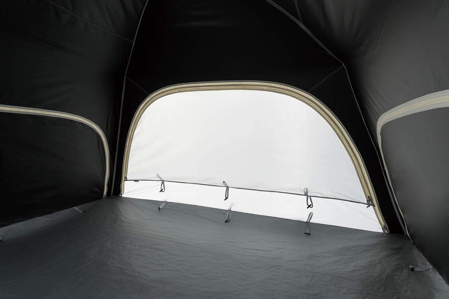 Amazon コールマン Coleman シェード スクリーンigシェード コールマン Coleman タープ