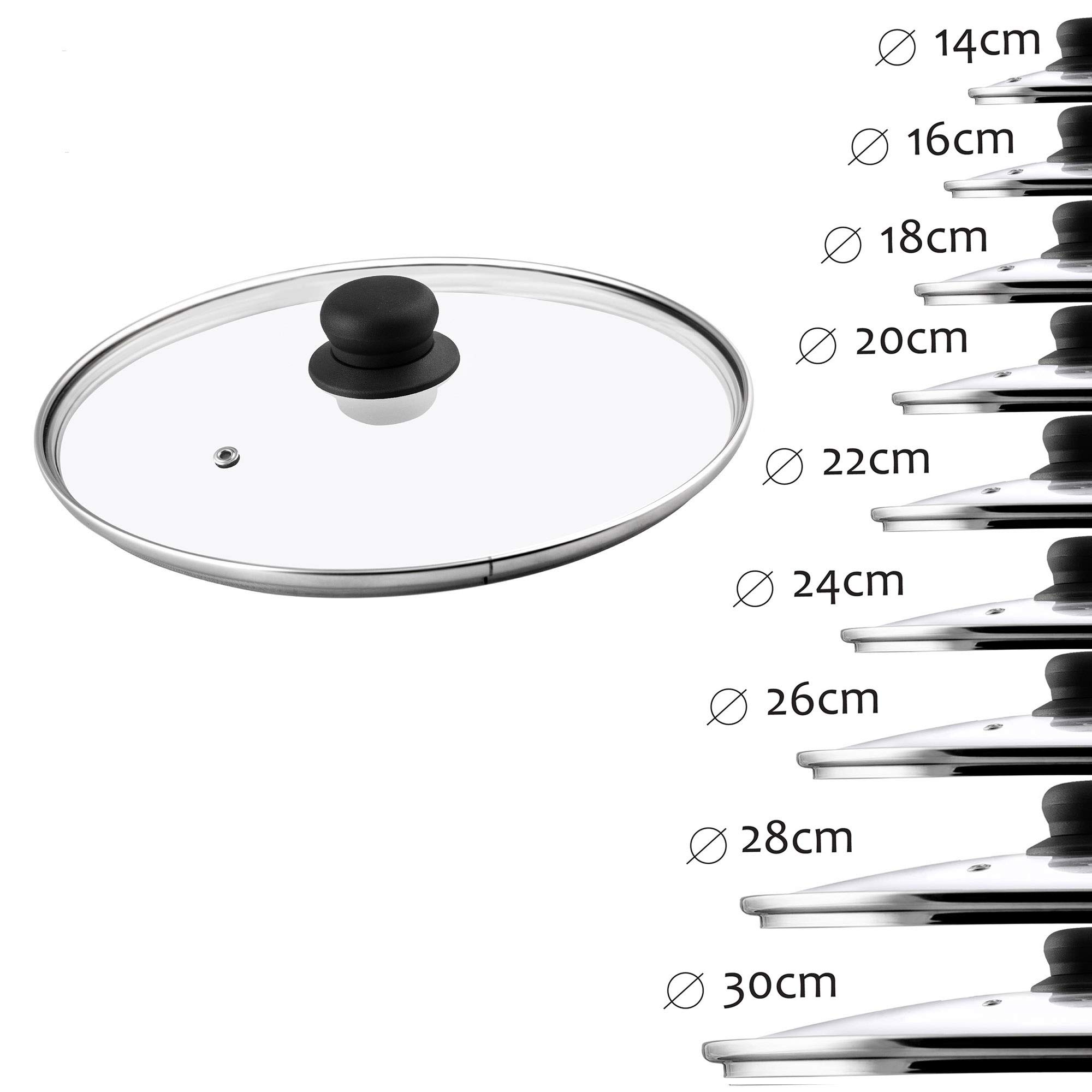 recus Glass Lid, Heat-resistant Lid with plastic Handle, Steam Hole, for Cooking Pot, Frying Pan, Saucepan, round, universal Lid in various Sizes, transparent (28 cm)