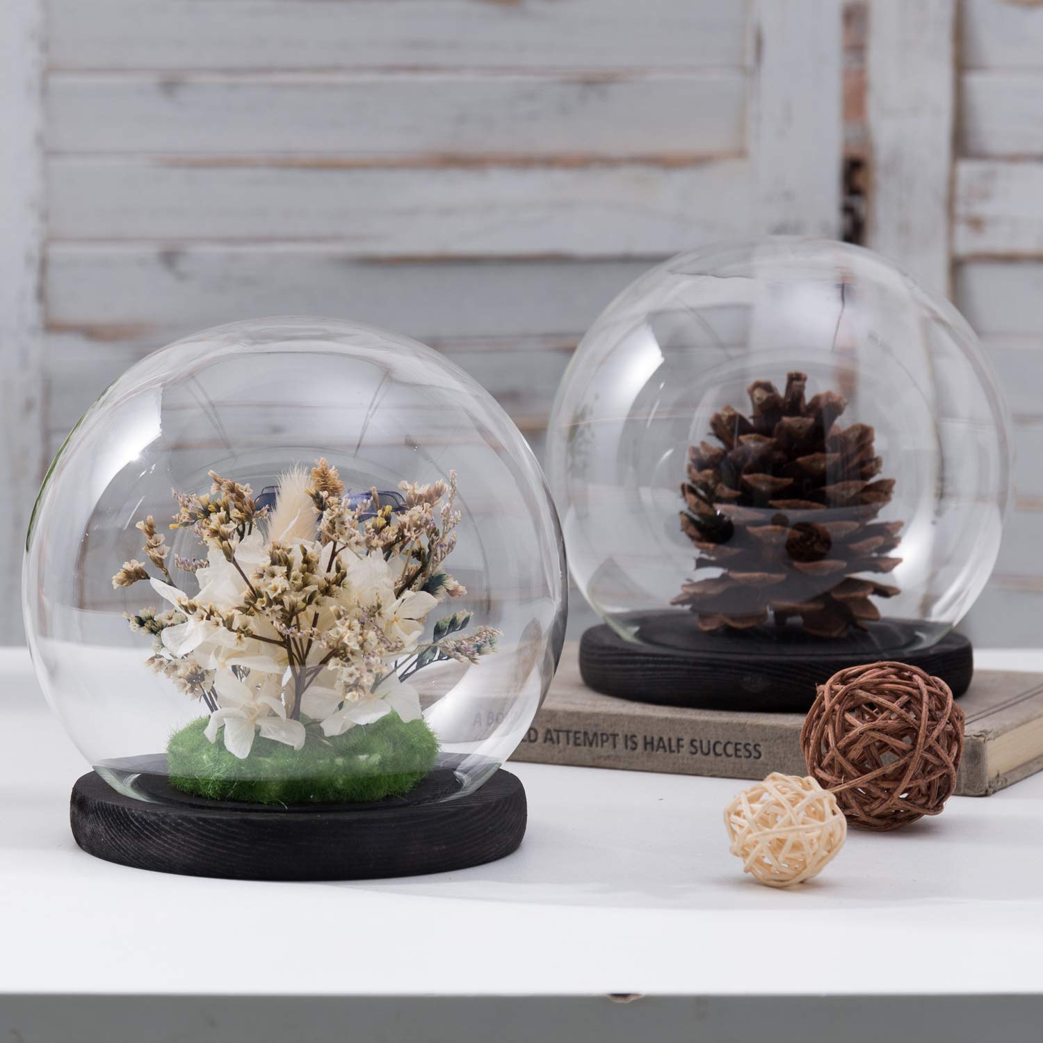 MyGift 6 Inch Round Clear Glass Dome Empty Display Cloche with Black ...