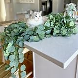 CQURE 8Pcs Eucalyptus Garland 8 Ft Each Total 64 Ft 768 Leaves view 2