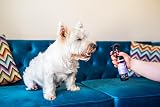 Animology Paws & Relax Aromatherapy Dog Spray 250ml view 8