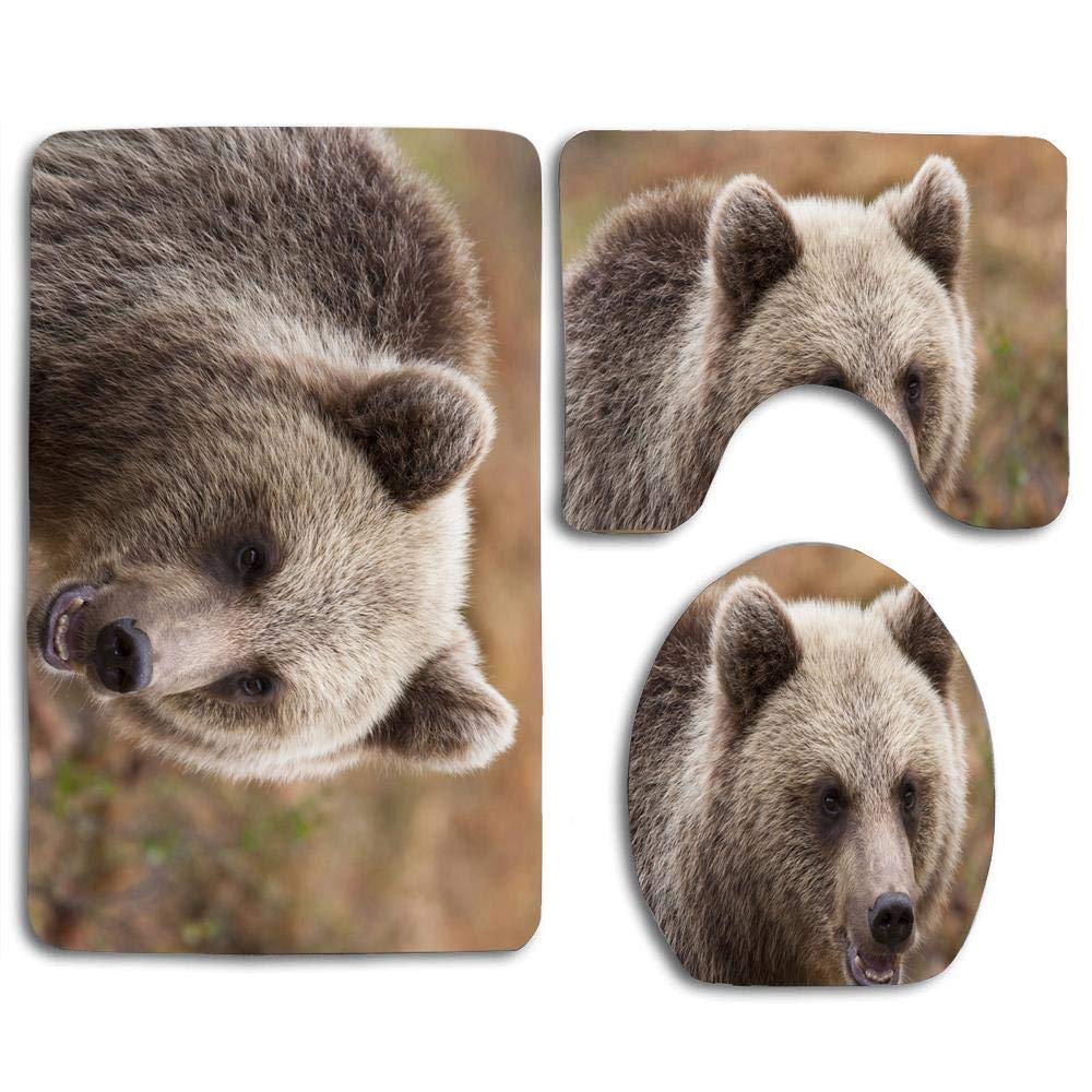 Best toilet seat for puppy