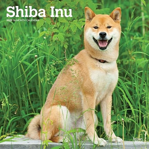 Download Shiba Inu 2020 Calendar PDF