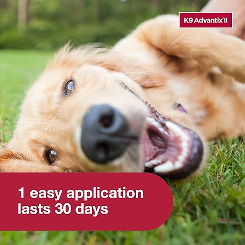 K9 Advantix II Large Dog Vet-Recommended Flea, Tick Mosquito