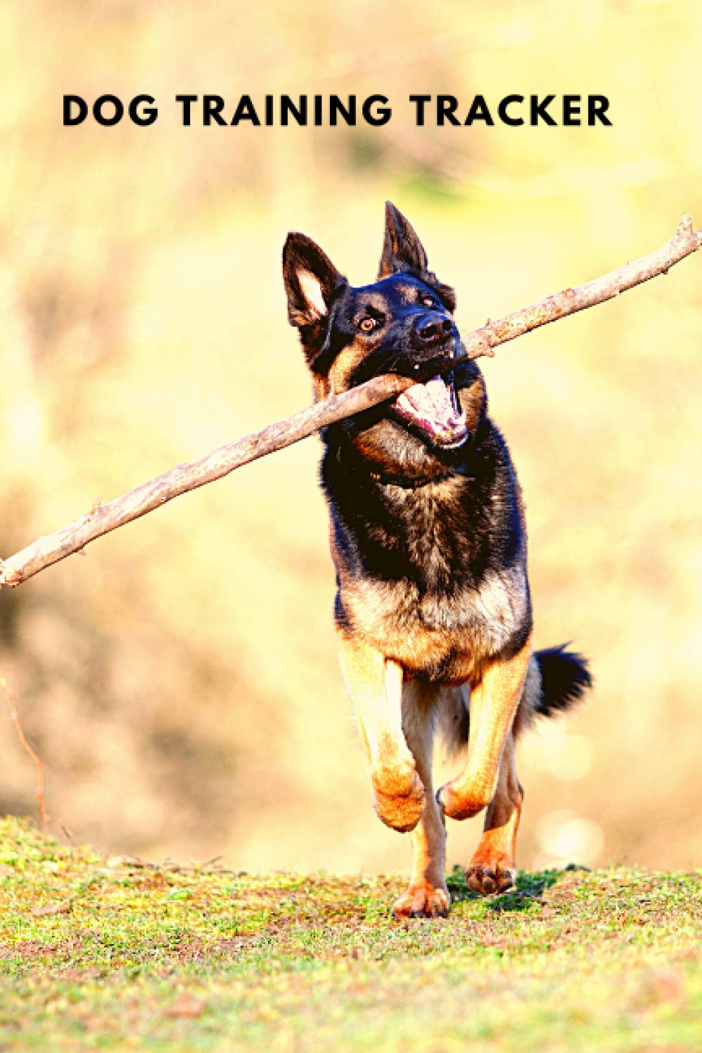 Dog Training Tracker: Obedience Training for Dogs - Dog Activity Monitor Notebook - Progress Information Logbook Full of Detail (120 Pages - 6 x 9 in)