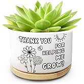 Ywkuiev Thank You for Helping Me Grow Appreciation Gifts, Ceramic Succulent Plant Pot for Home Office Desk Decor Thank You Gi