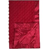 Pro Goleem Baby Soft Minky Dot Blanket with Silky Satin Backing Baby Gifts for Boys and Girls (Red, 30’’ x 40’’)