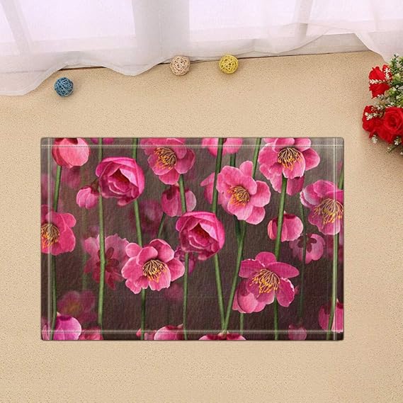 NDANH9896 Nahaufnahme der blühenden Blumen Haustür, hinter Tür, Küche