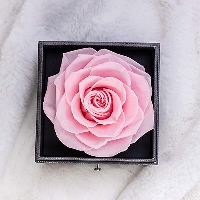 pix I Love You Roses For Her germany