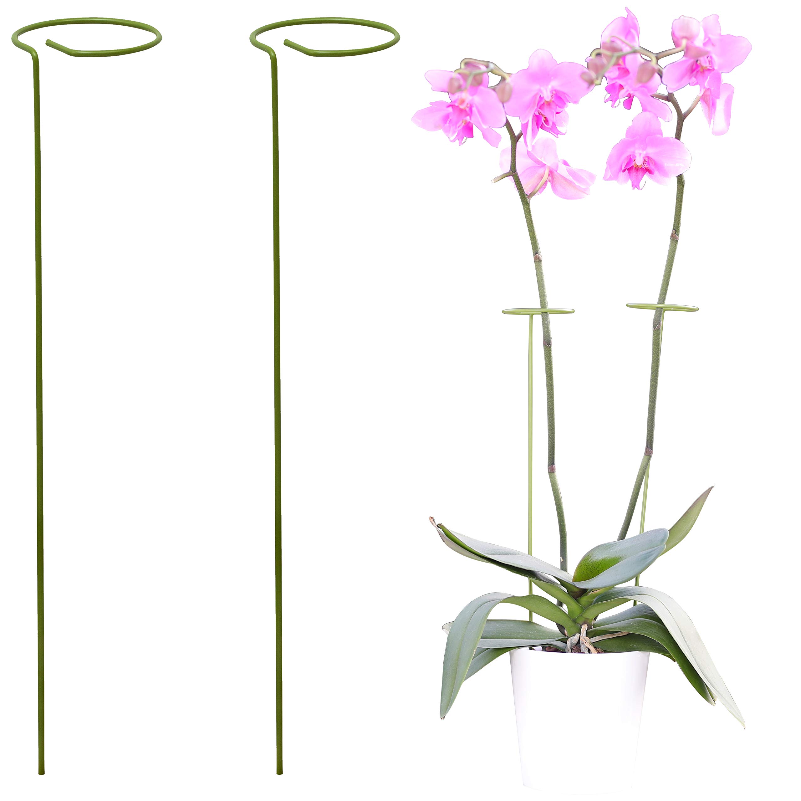 2 Pack Plant Supports for Garden | Help Your Flowers Grow | Plant Support Sticks for Plants and Flowers | Green Garden Sticks | Tomato Cages | Plant Stakes for Orchid, Amaryllis, Roses, Peony and More