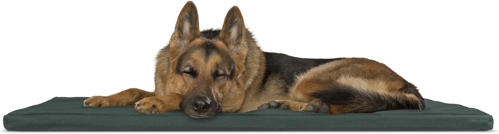 amazon dog crate mat