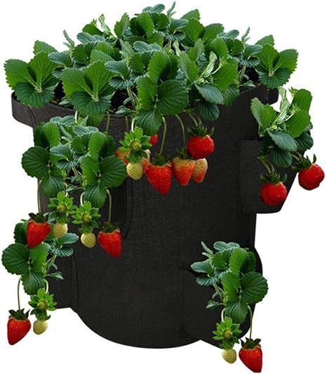 Amazon Co Jp 不織布ポット プランター フェルト 植え袋 イチゴ植栽バッグ 不織布ポット 野菜栽培 発育促進 植物育成 園芸用 ガーデン 庭 植木鉢 家庭菜園 室内栽培用 おしゃれ ホーム キッチン