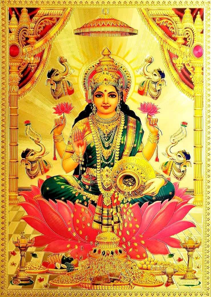 Photographs - Suninow laxmi ji photo ( 8 x 12 )