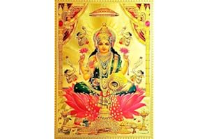 Suninow laxmi ji photo (8 x 12)
