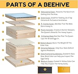 POLLIBEE 8 Frame Beehive kit, Complete Bee Hive for