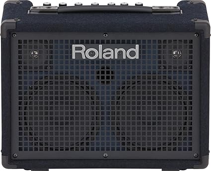 Amazon Roland Kc 2 キーボード用アンプ キーボードアンプ 楽器