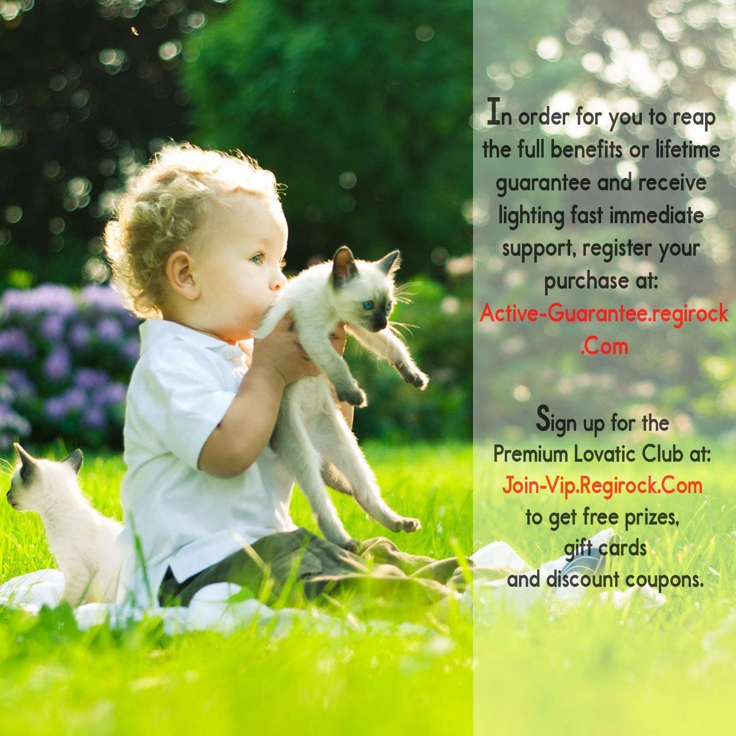 Wall Hanging Mounted Fish Tank, Acrylic Fish Bowl Packaging Include Colored Gravel and Plastic Plant ,Smooth and Clear Surface With Undersea World Background - SupperAcryilc