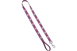 Moose Pet Wear Dog Leash – University of Iowa Hawkeyes Pet Leash, Made in the USA – 1 Inch Wide x 6 Feet Long, Pink Carbon Fiber