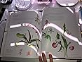 Exotic Botanical Illustration With The Eden Project Thurstan, Meriel