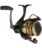 Daiwa BG2000 BG Saltwater Spinning Reel : Sports & Outdoors
