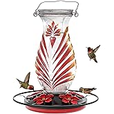 Hummingbird Feeder for Outdoors, 24oz Glass Nectar Feeder with Perch & 5 Flower Feeding Ports, Leakproof Hanging Bird Feeder for Garden Yard Decor, Outside Gifts for Women & Mom, Ruby Red