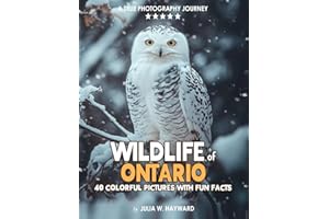 Wildlife of Ontario: A Coffee Table Picture Book with Stunning Photography and Fun Facts of Canadian Wild Animals and Birds |