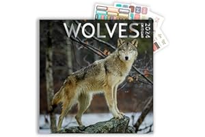 ARTICO Wolf Calendar 2024 and Sticker Pack, Large 12 x 12 inch, Wolf Wall Calendar with Sticker Set, Gift for Wolf Lovers, Cute Calendar for girls or boys